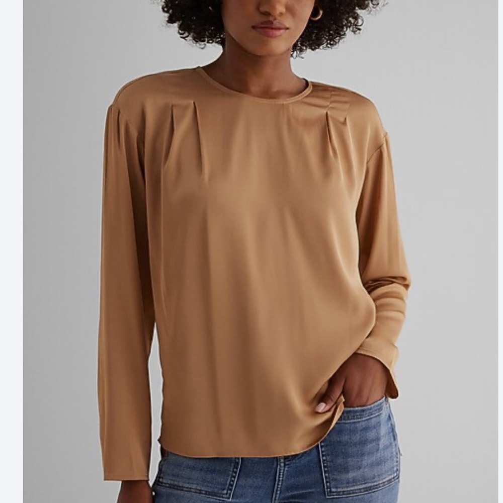 Express Satin Pleated Blouse - Brown